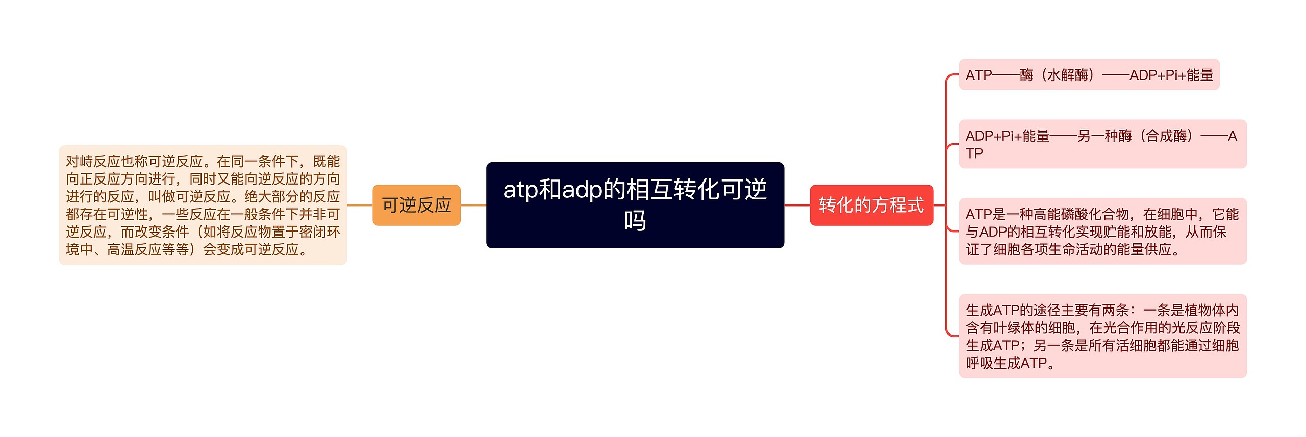 atp和adp的相互转化可逆吗