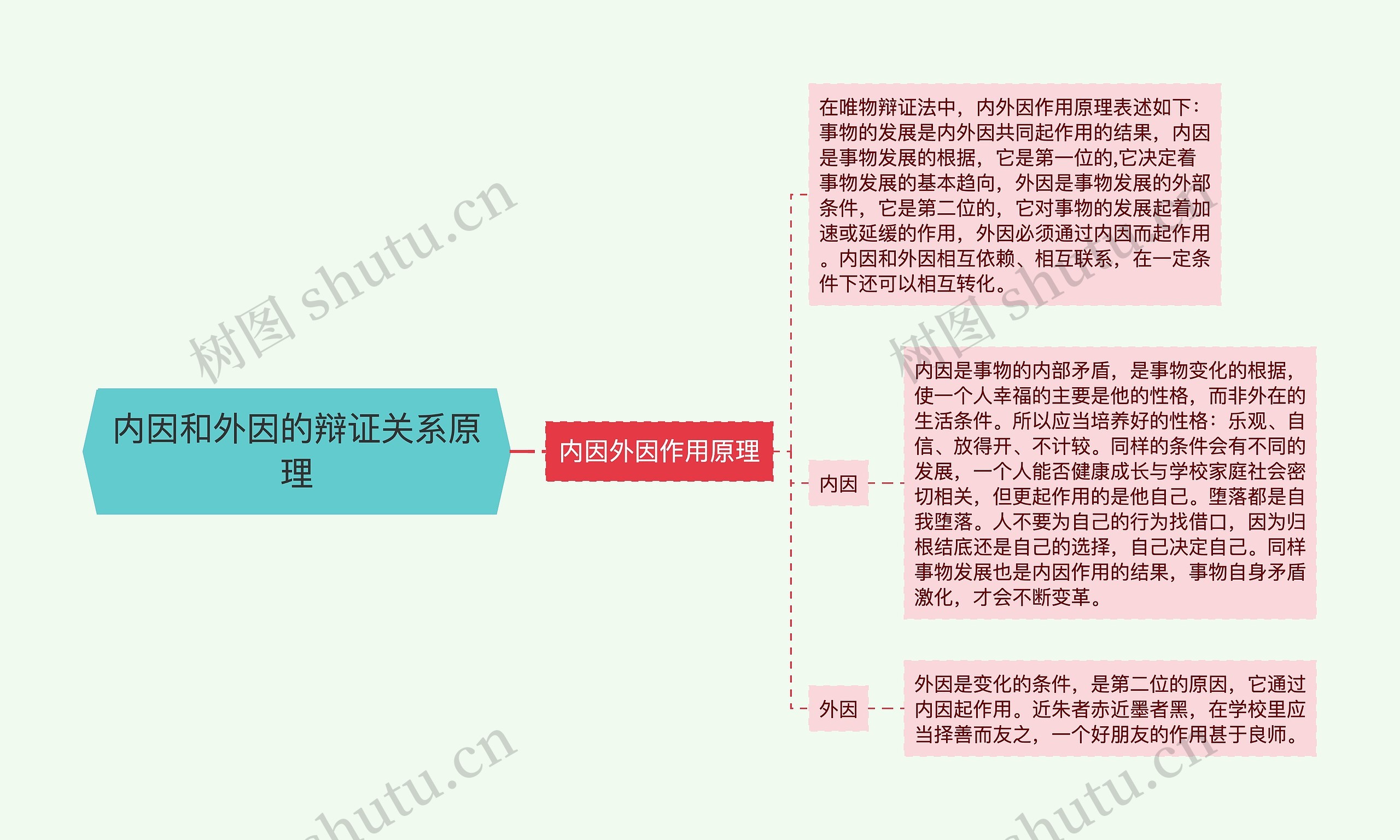 内因和外因的辩证关系原理