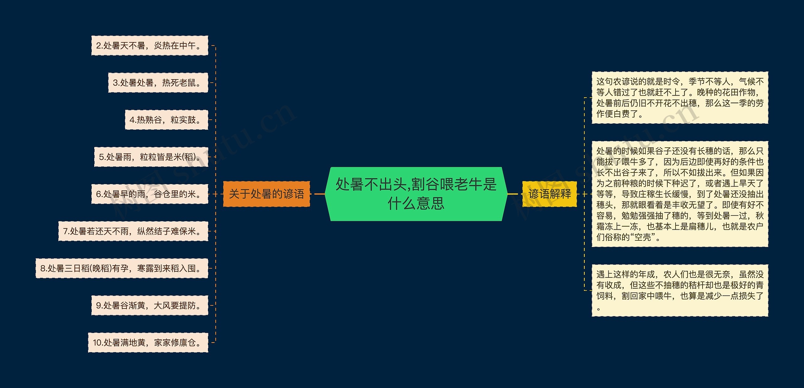 处暑不出头,割谷喂老牛是什么意思思维导图