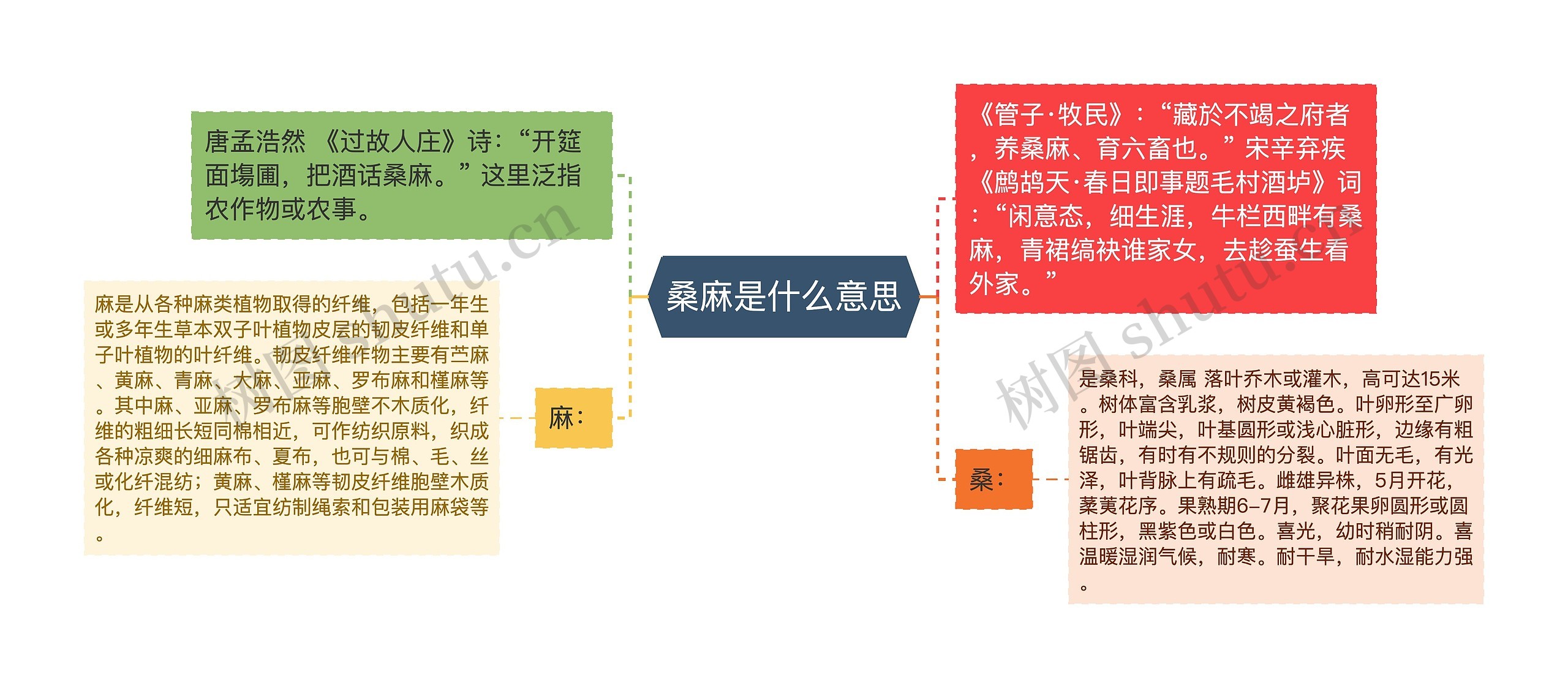 桑麻是什么意思思维导图