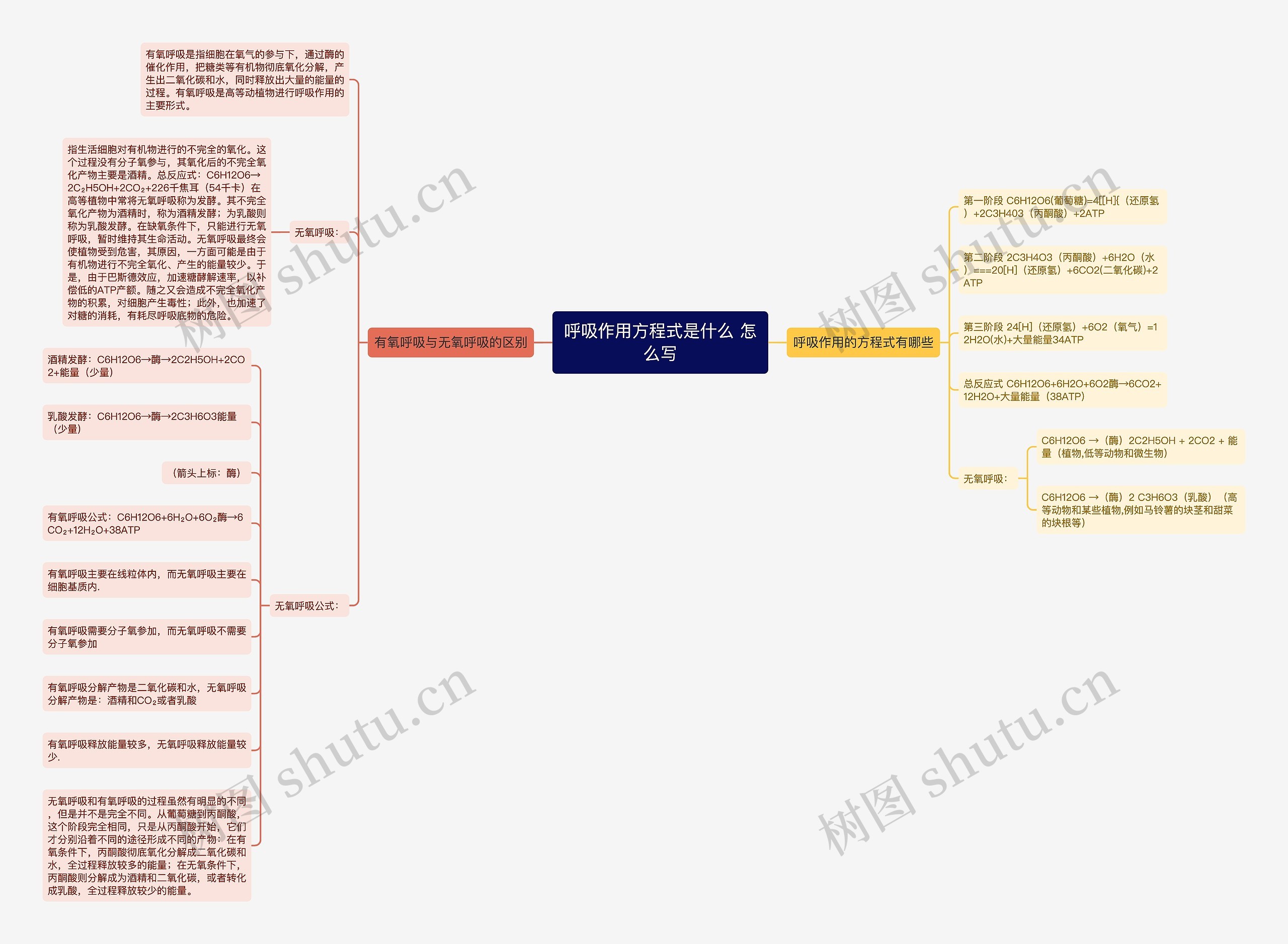 呼吸作用方程式是什么 怎么写思维导图