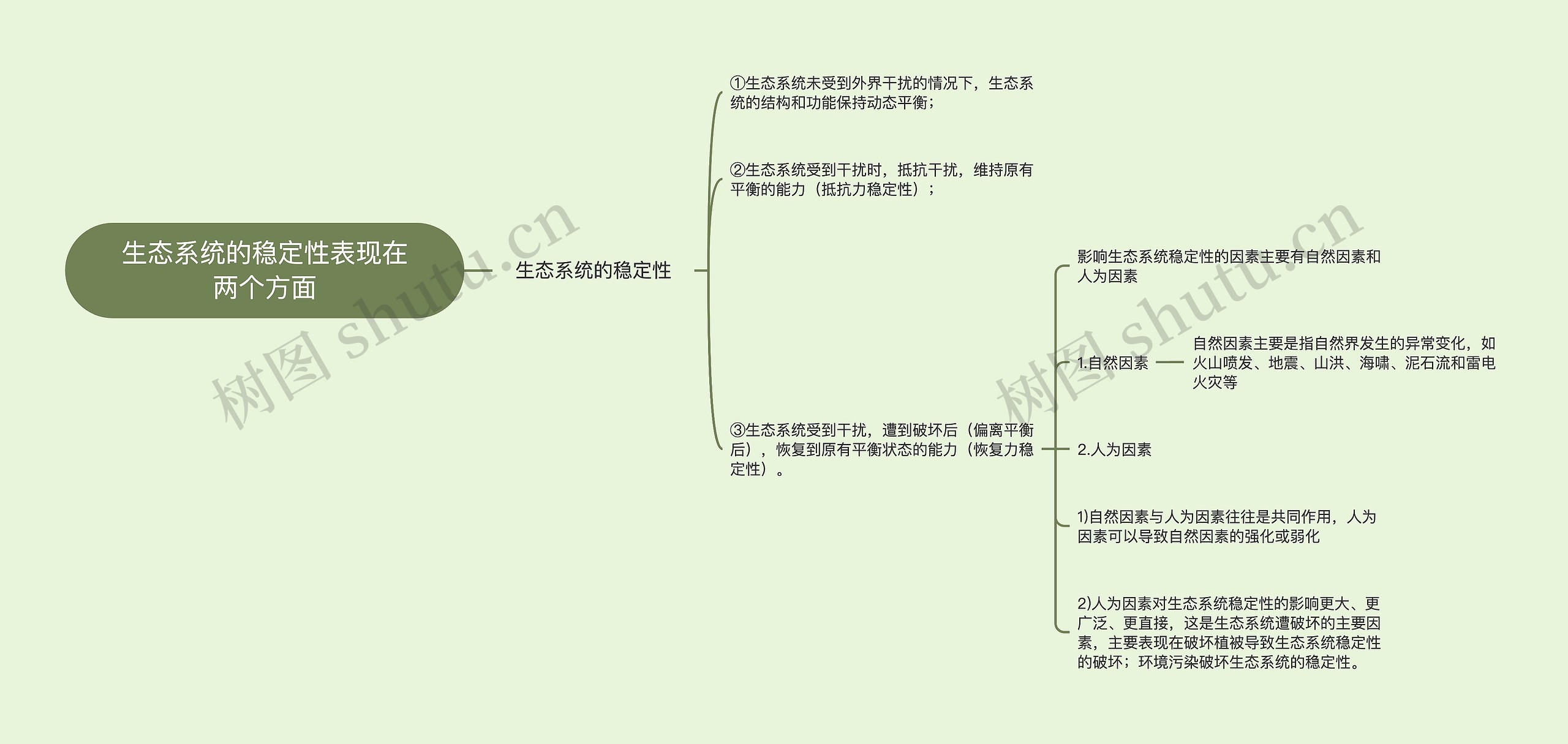 生态系统的稳定性表现在两个方面思维导图