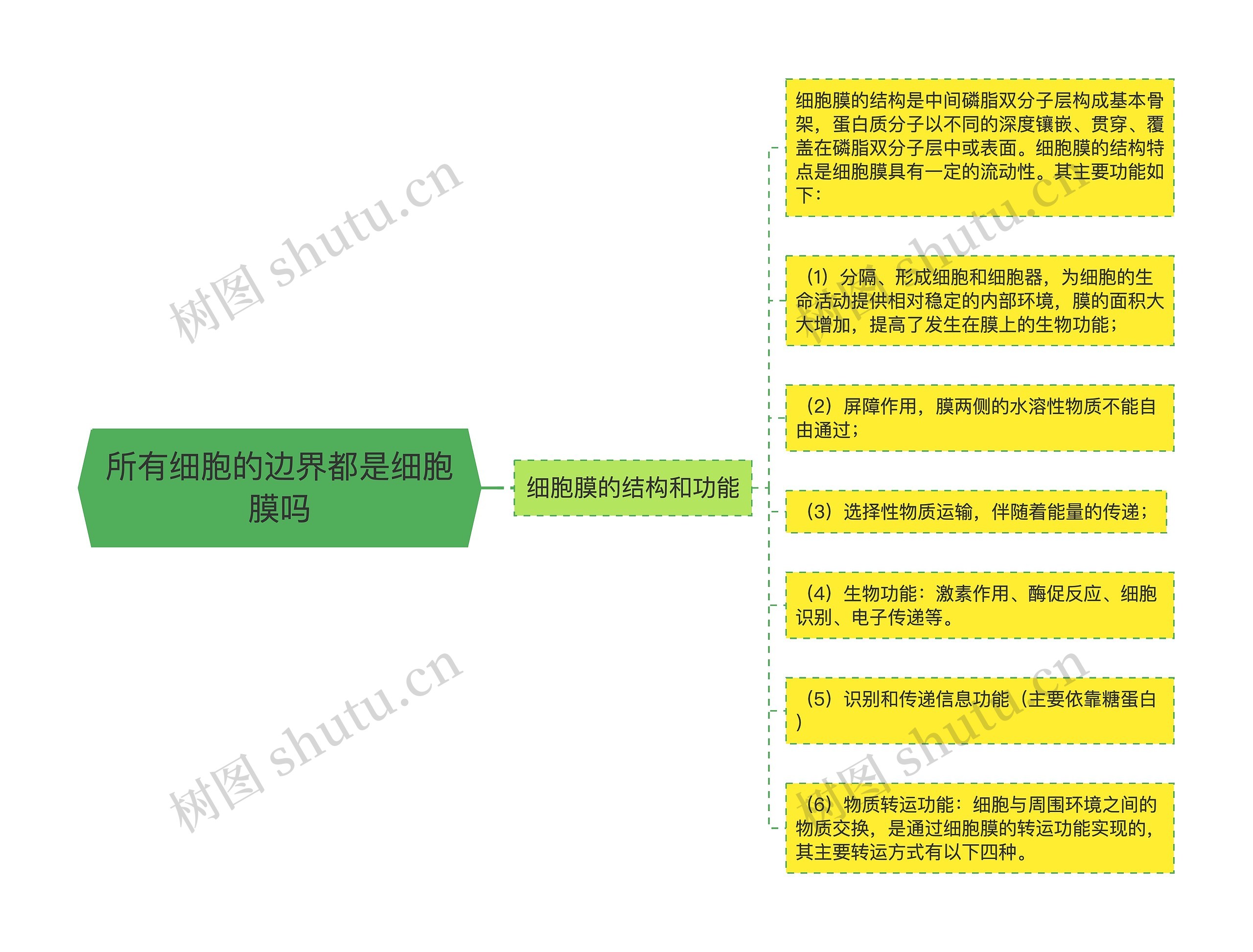 所有细胞的边界都是细胞膜吗 所有细胞的边界都是细胞膜吗