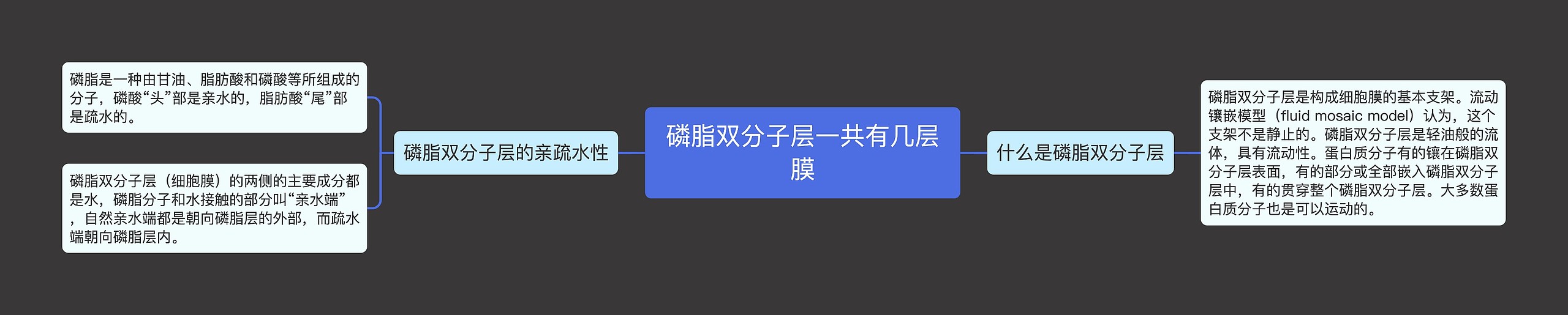 磷脂双分子层一共有几层膜思维导图