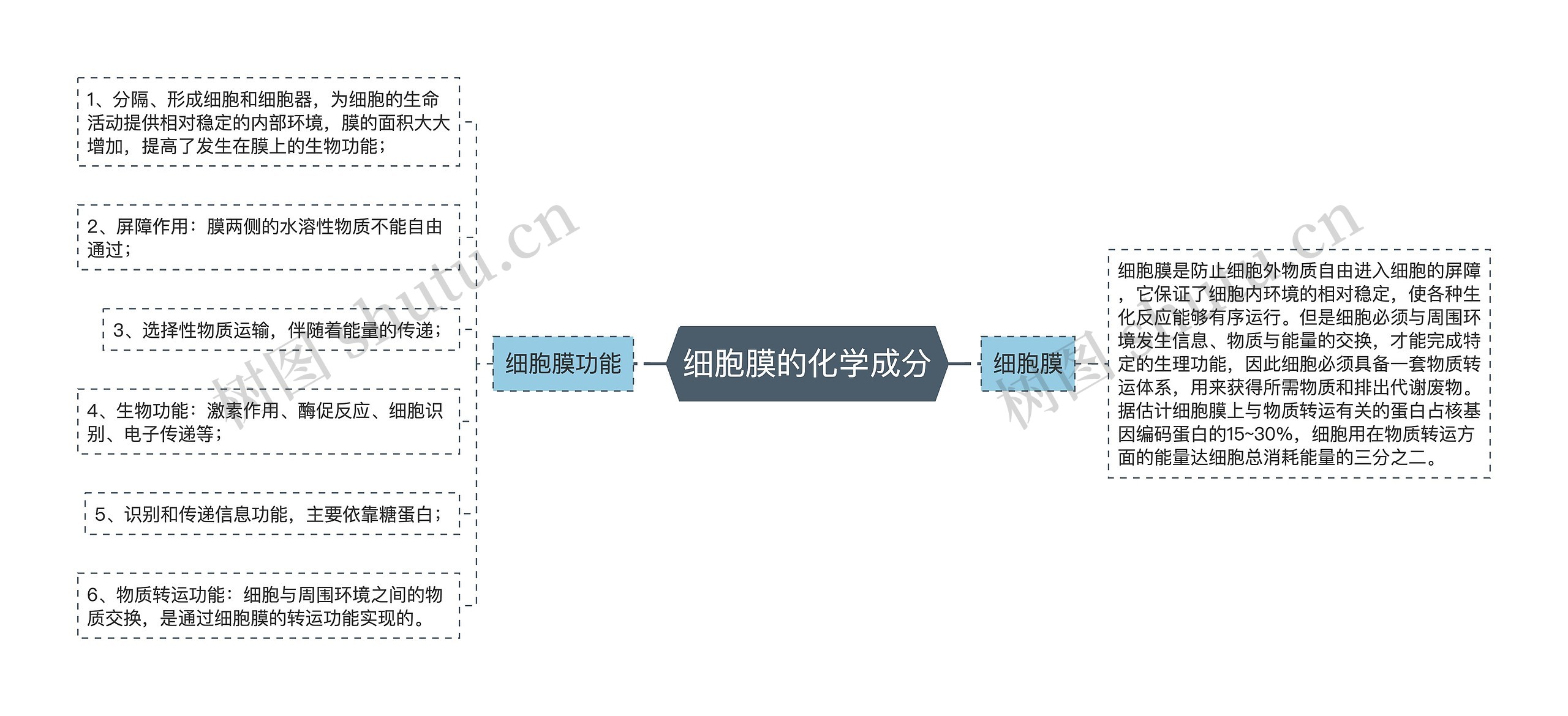 细胞膜的化学成分