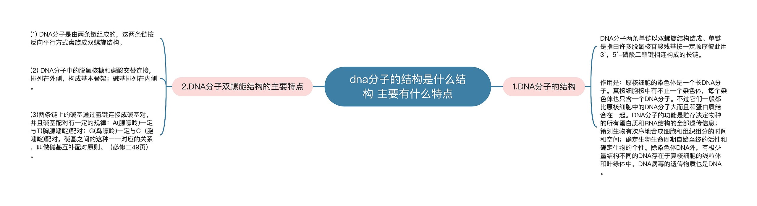 dna分子的结构是什么结构 主要有什么特点思维导图