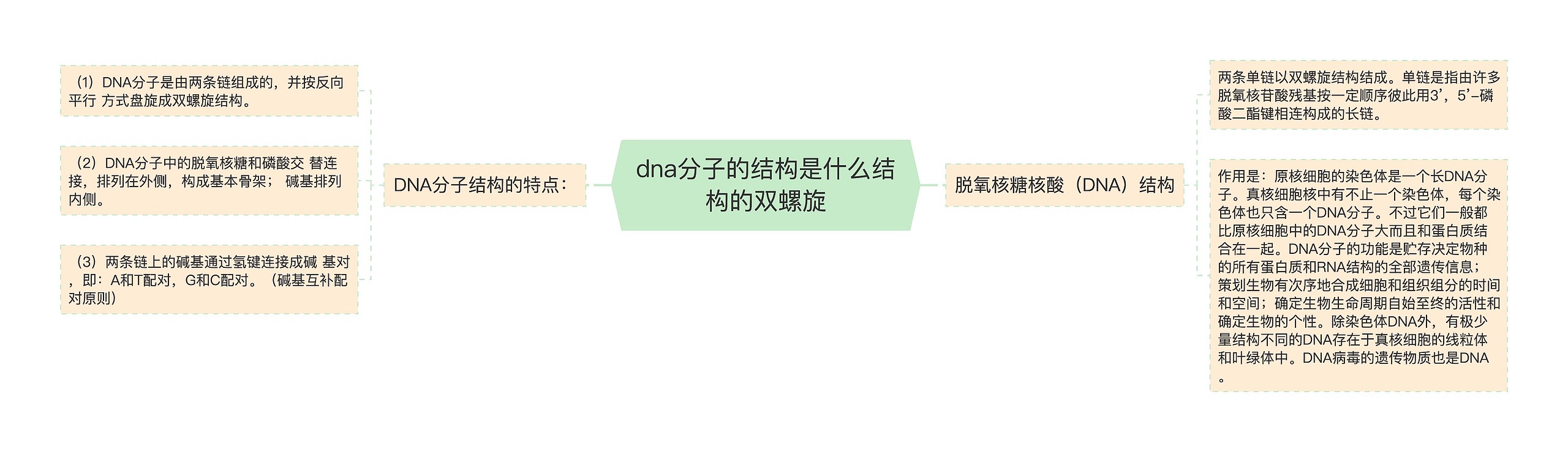 dna分子的结构是什么结构的双螺旋