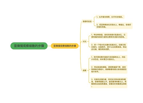 显微镜观察细胞的步骤