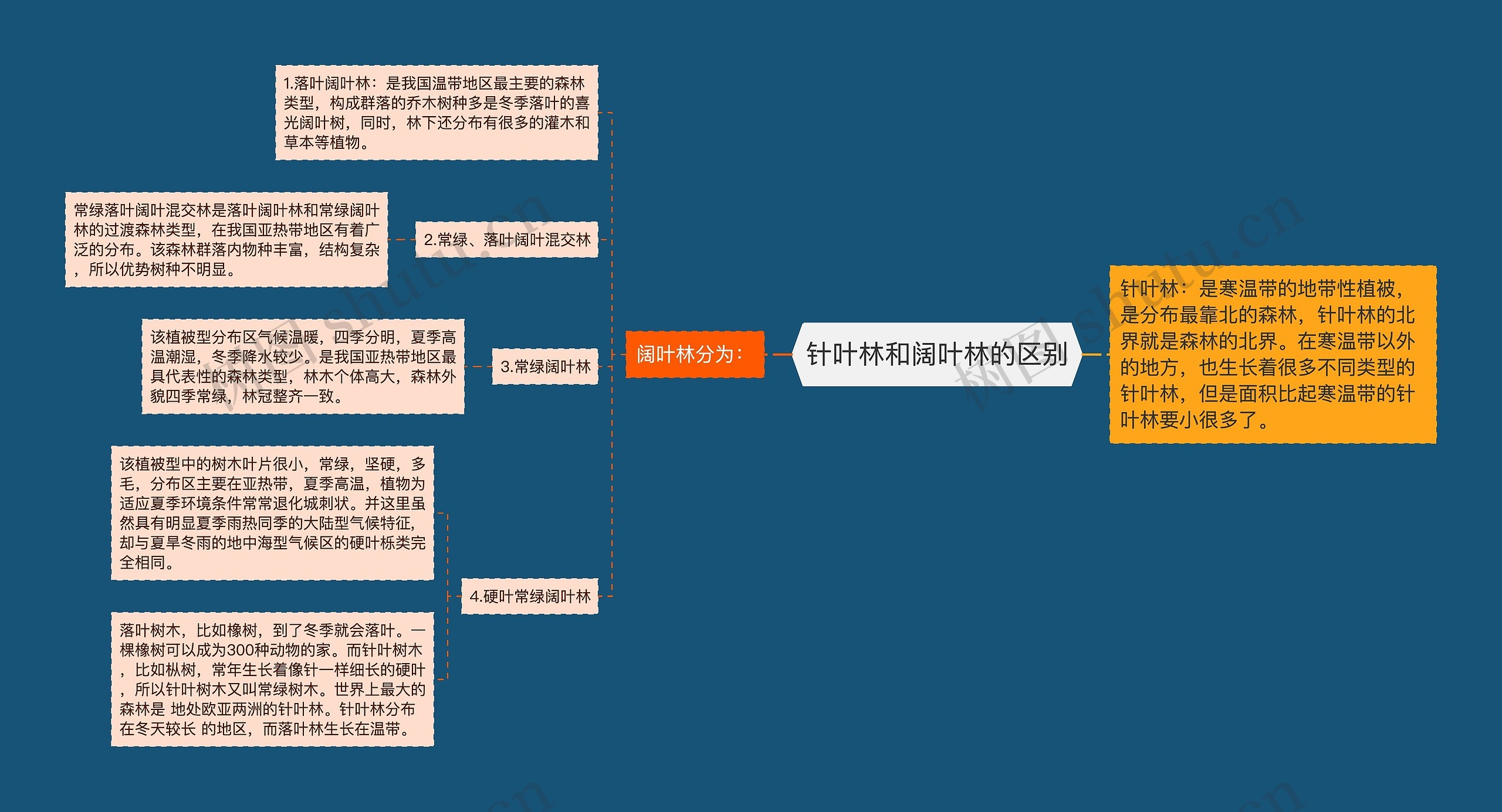 针叶林和阔叶林的区别思维导图