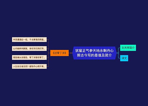 犹留正气参天地永剩丹心照古今写的是谁及简介