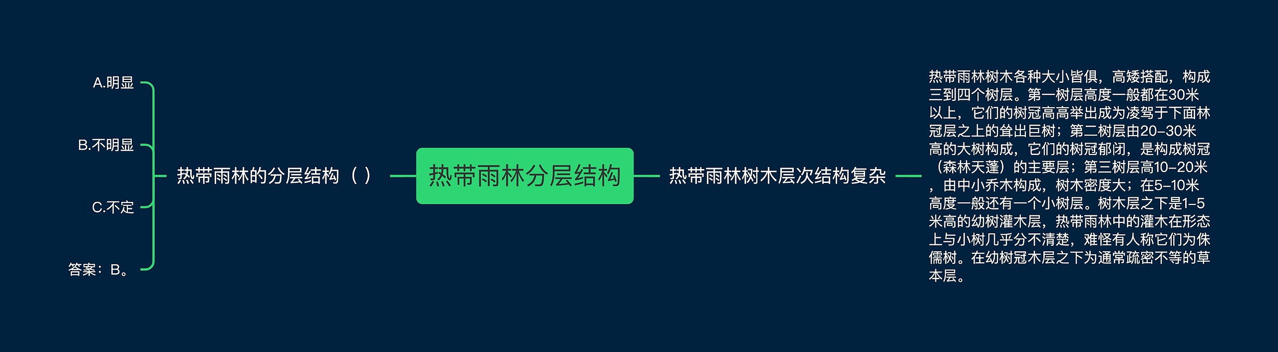 热带雨林分层结构