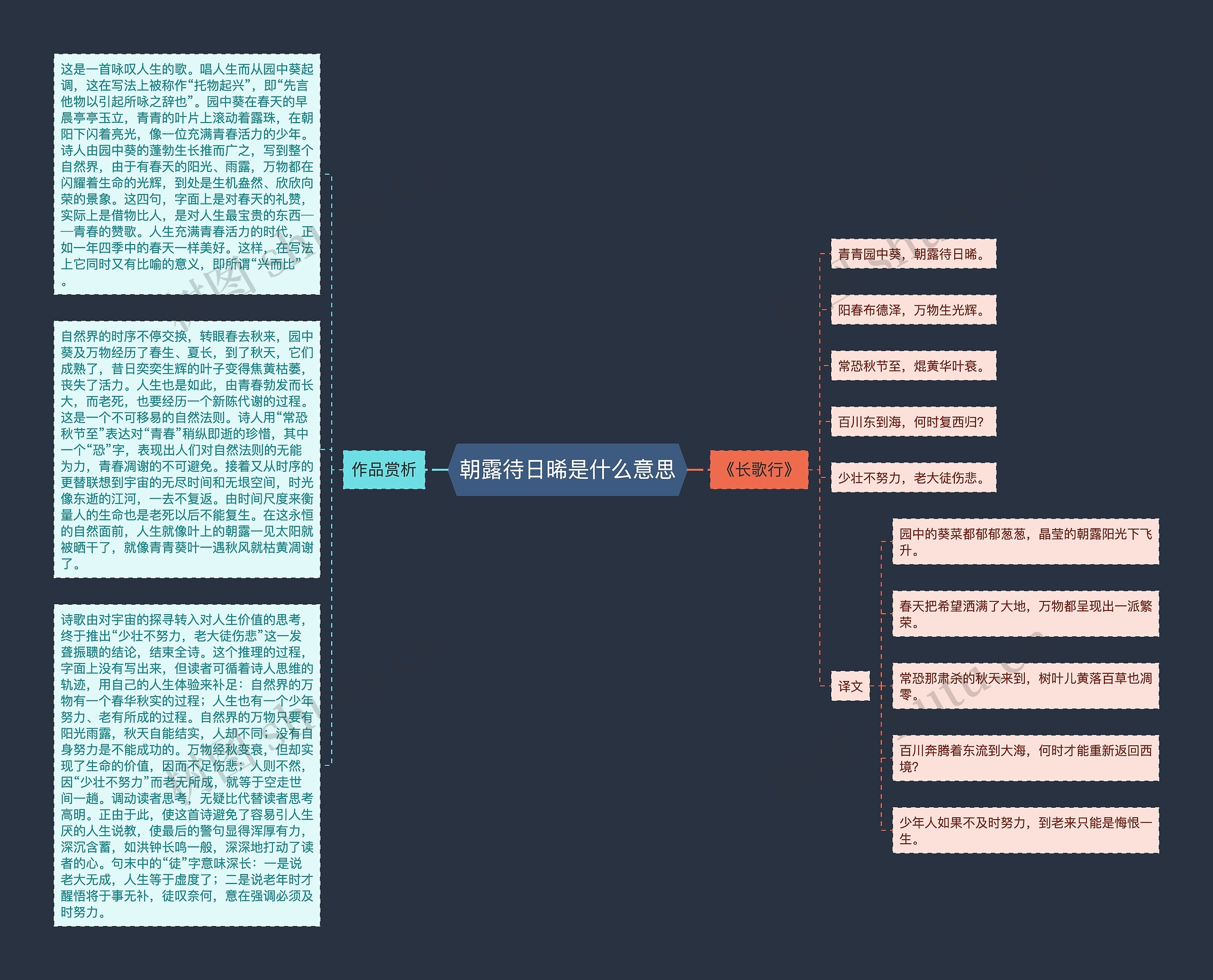 朝露待日晞是什么意思