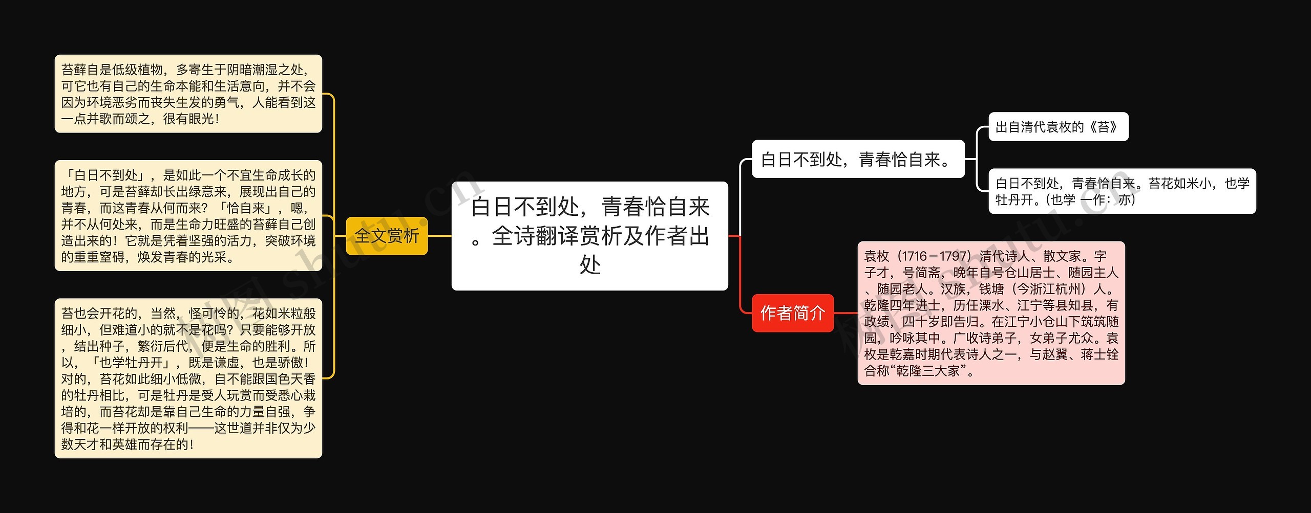 白日不到处，青春恰自来。全诗翻译赏析及作者出处思维导图