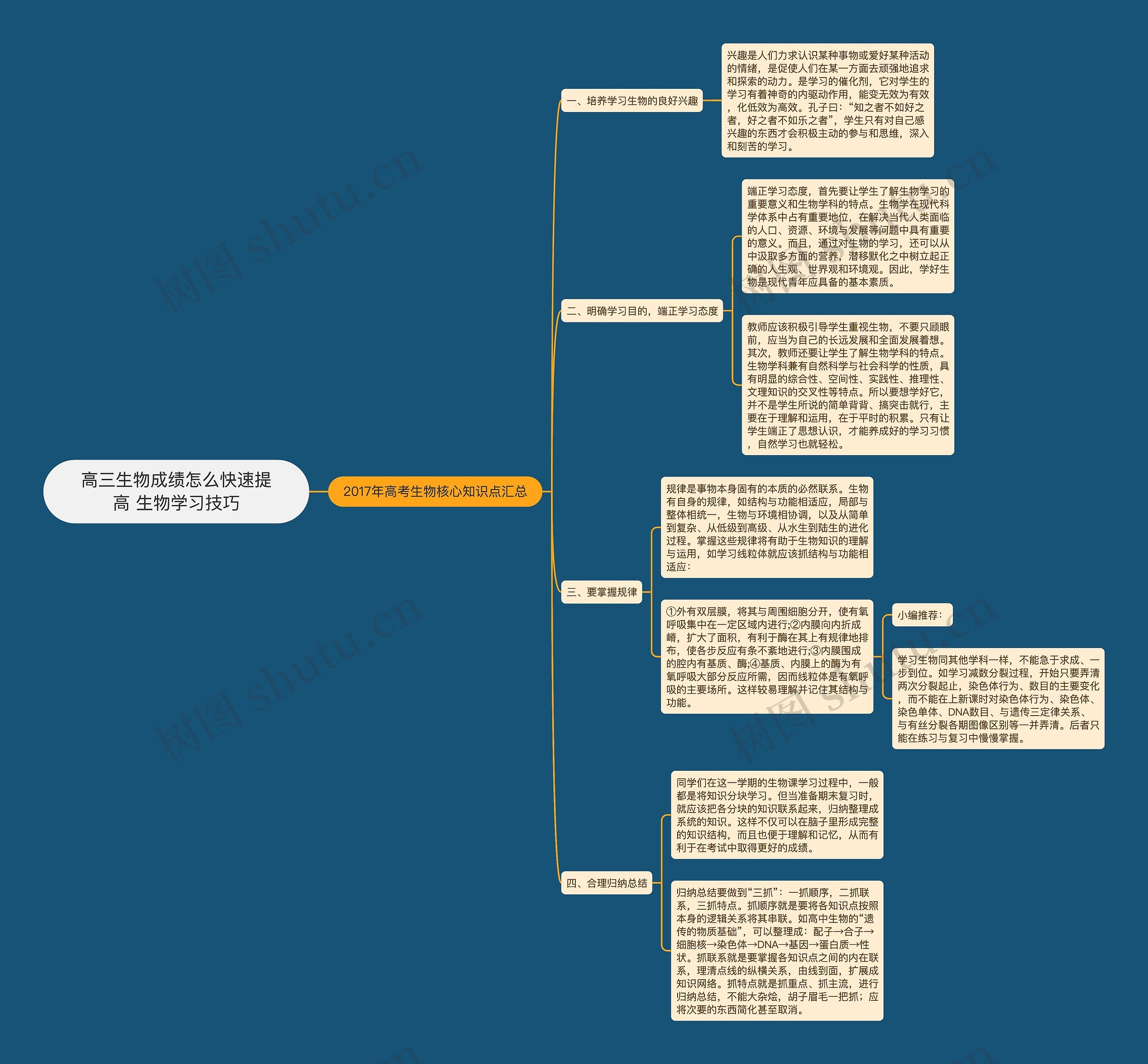 高三生物成绩怎么快速提高 生物学习技巧思维导图