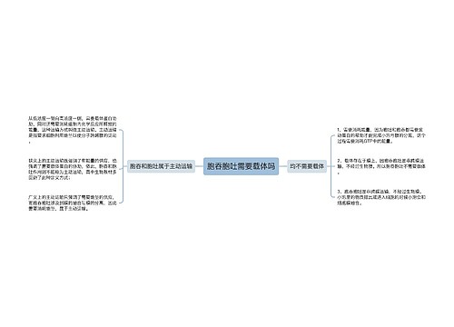 胞吞胞吐需要载体吗