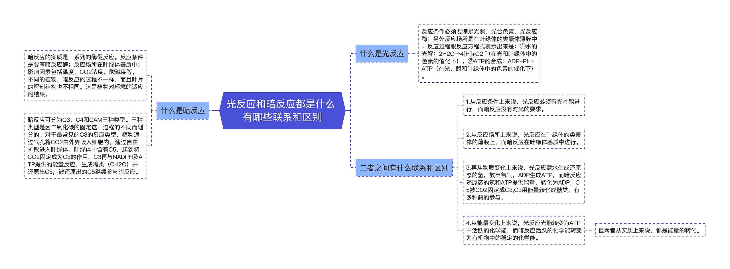 光反应和暗反应都是什么 有哪些联系和区别思维导图