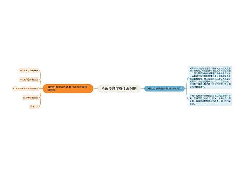 染色体减半在什么时期