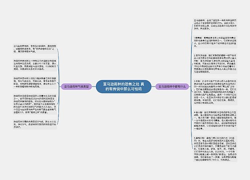 亚马逊雨林的恐怖之处 真的有传说中那么可怕吗