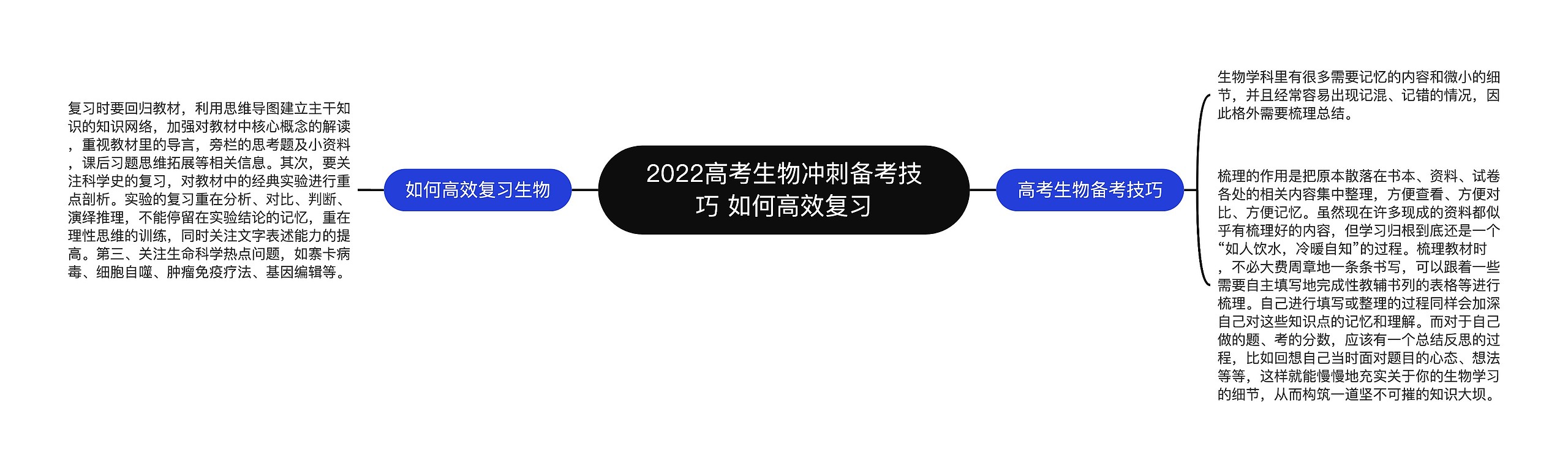 2022高考生物冲刺备考技巧 如何高效复习思维导图