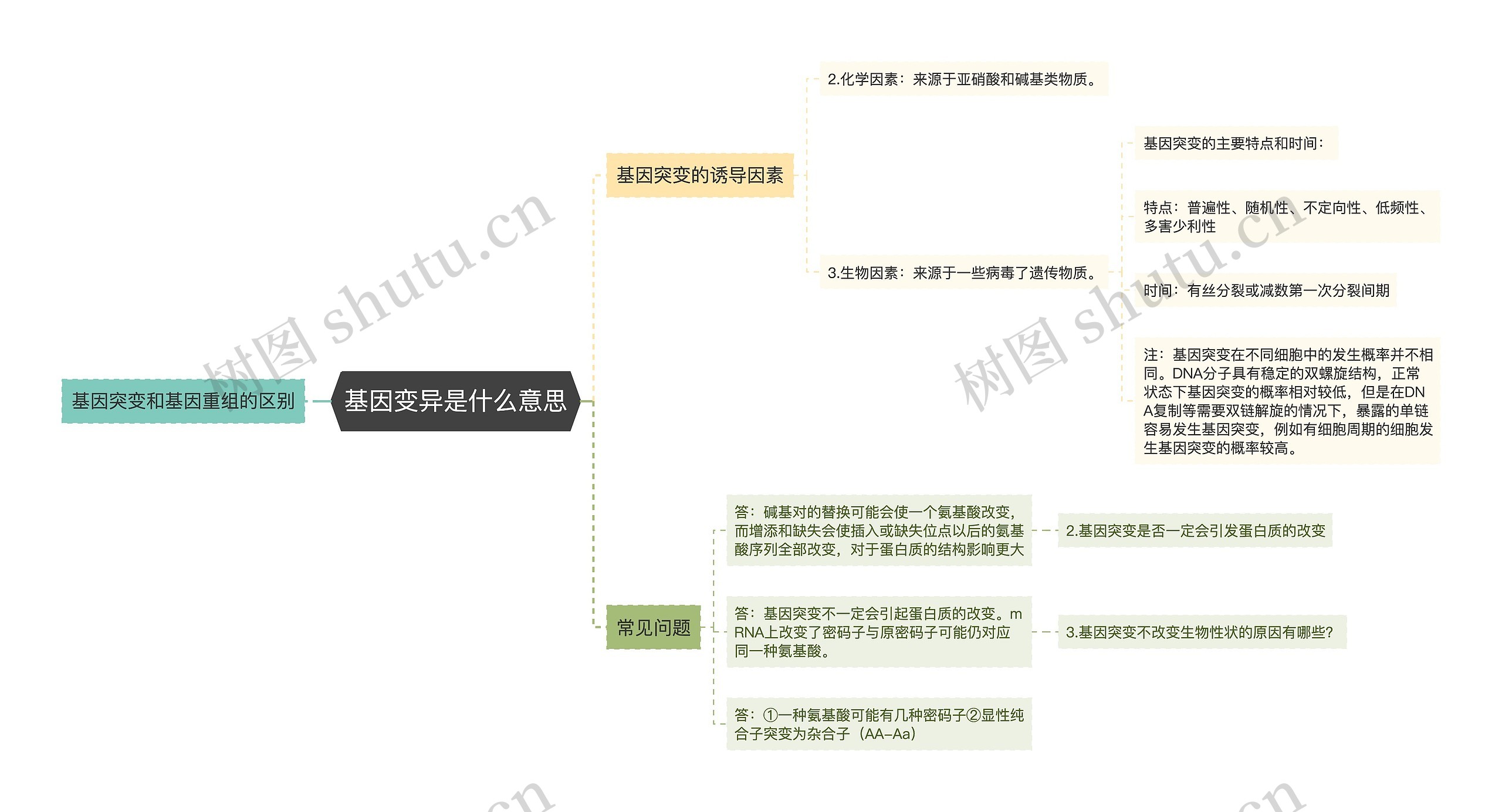 基因变异是什么意思