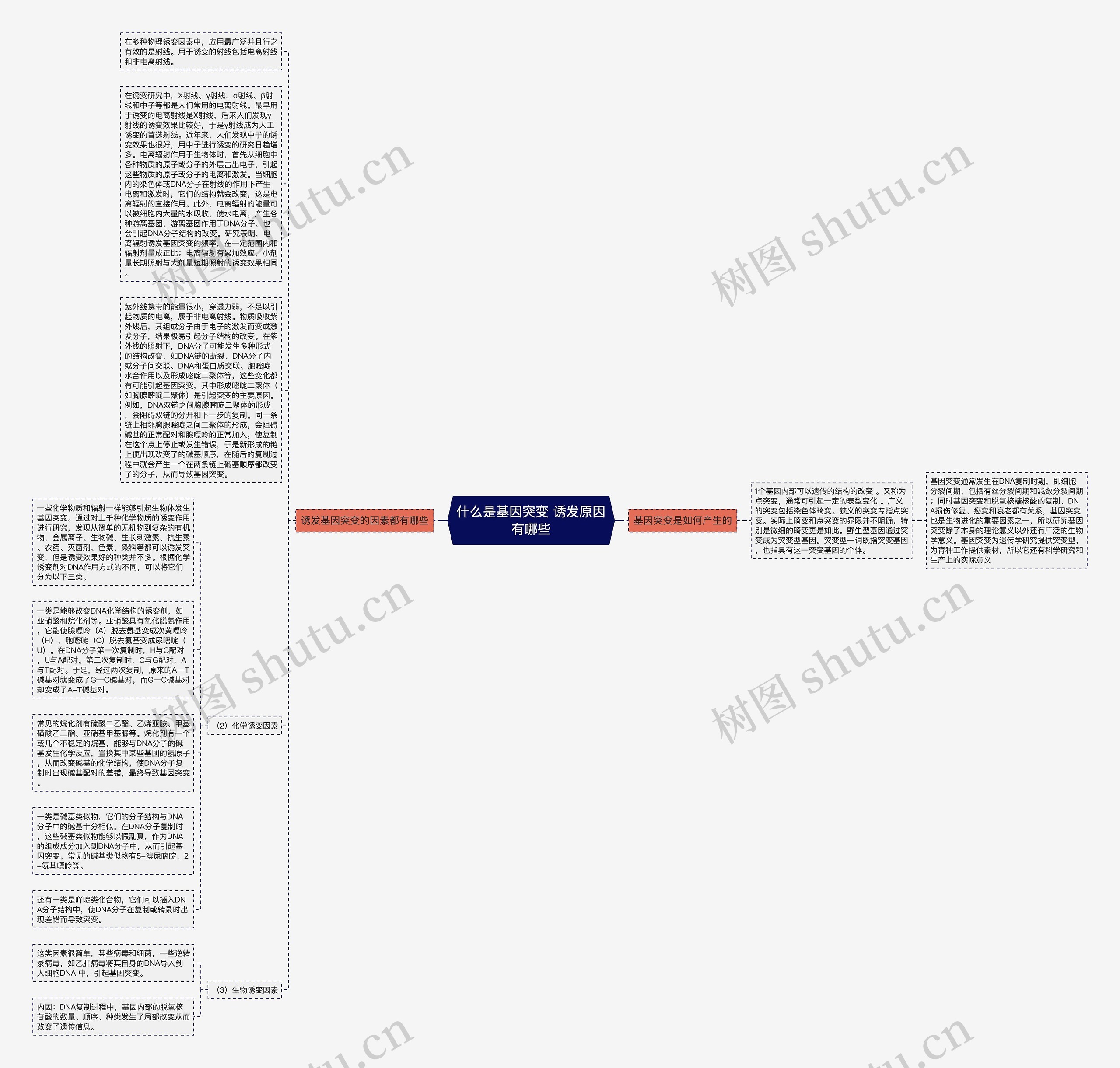 什么是基因突变 诱发原因有哪些思维导图