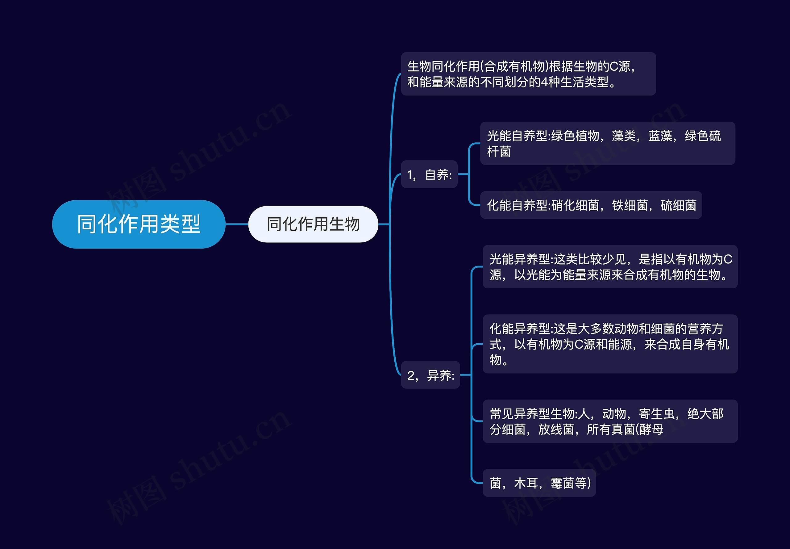 同化作用类型思维导图