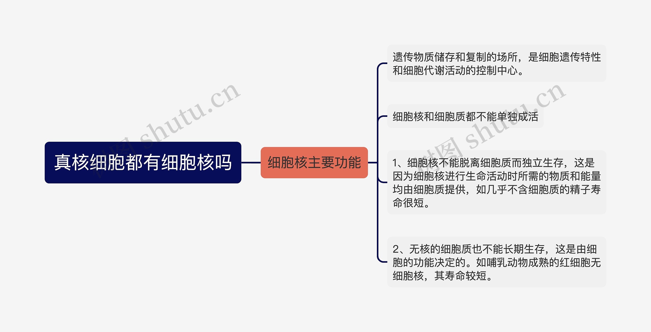 真核细胞都有细胞核吗