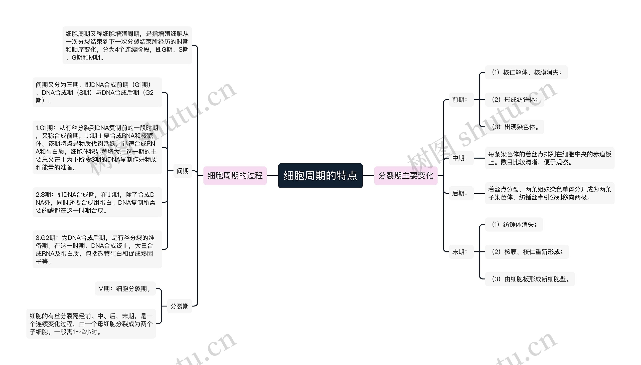 细胞周期的特点思维导图