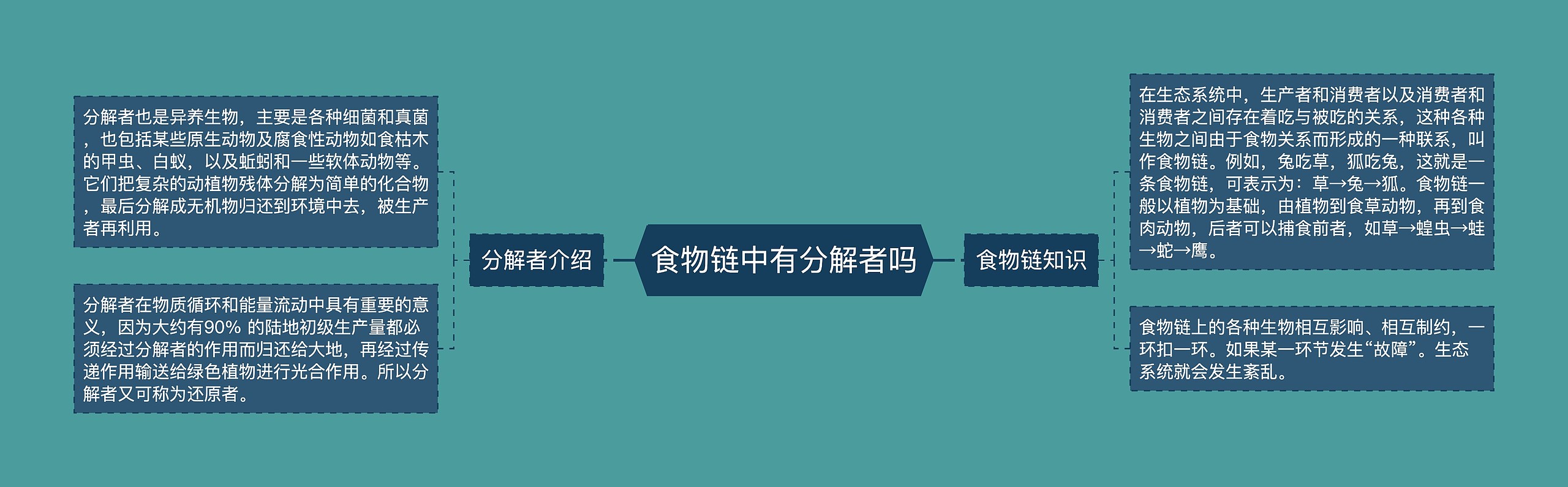 食物链中有分解者吗