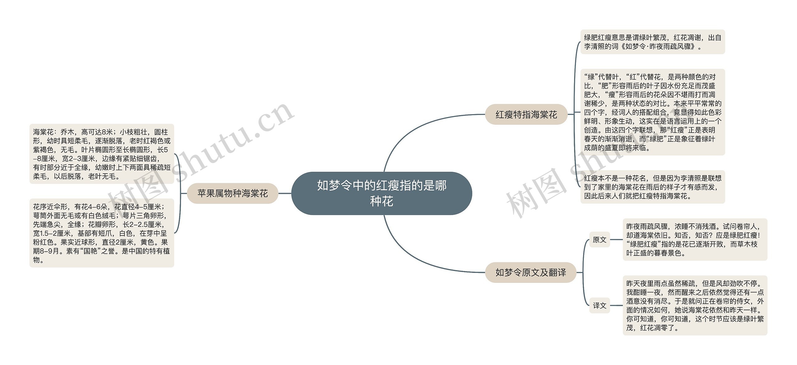 如梦令中的红瘦指的是哪种花