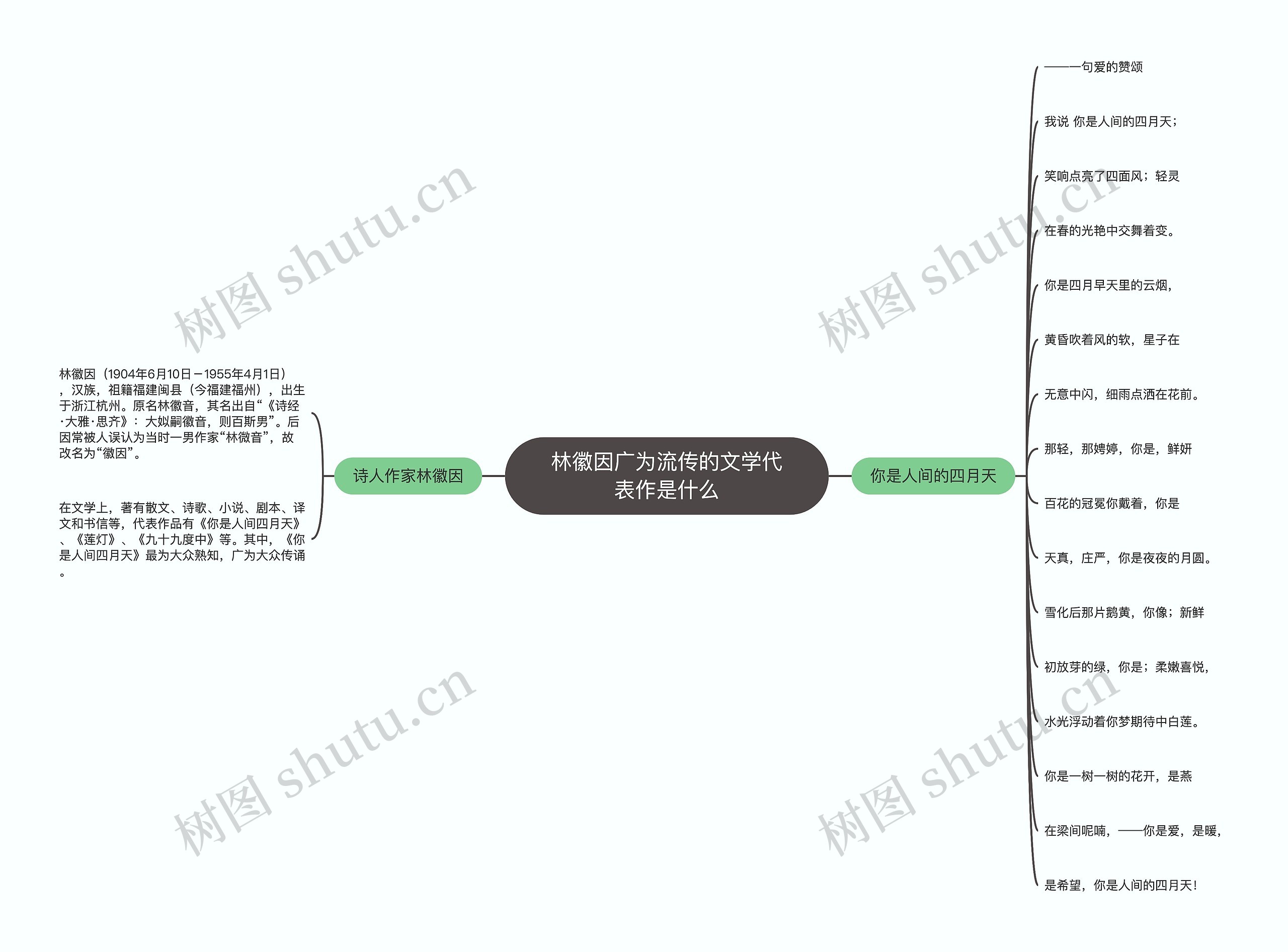 林徽因广为流传的文学代表作是什么