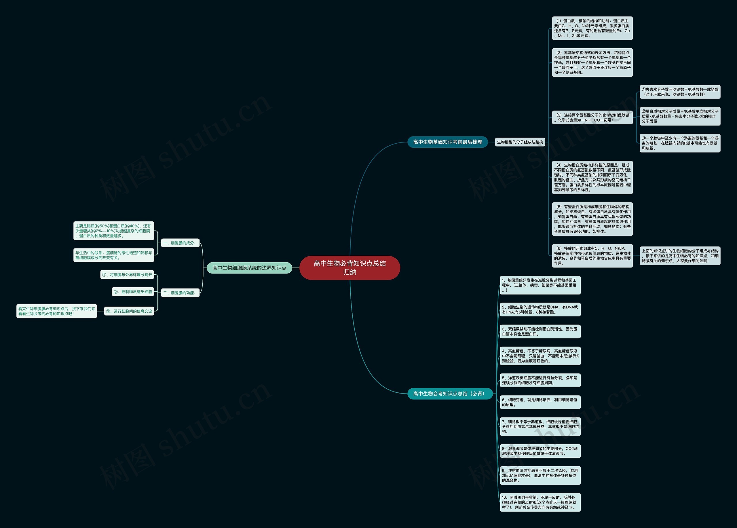 高中生物必背知识点总结归纳思维导图