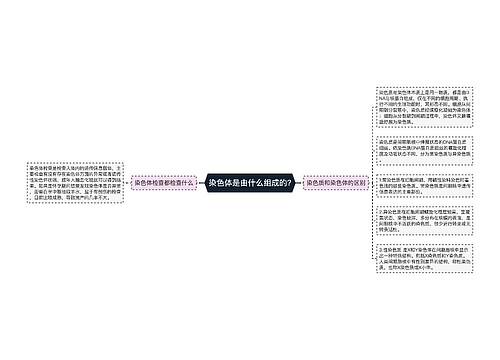 染色体是由什么组成的?