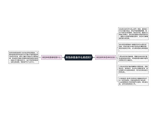 染色体是由什么组成的?