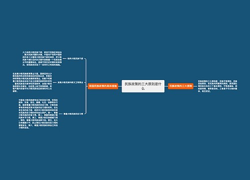 民族政策的三大原则是什么