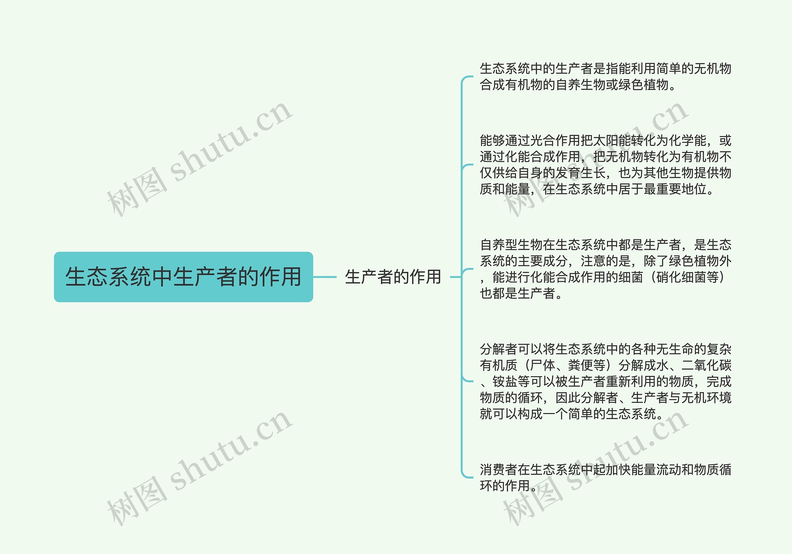 生态系统中生产者的作用思维导图