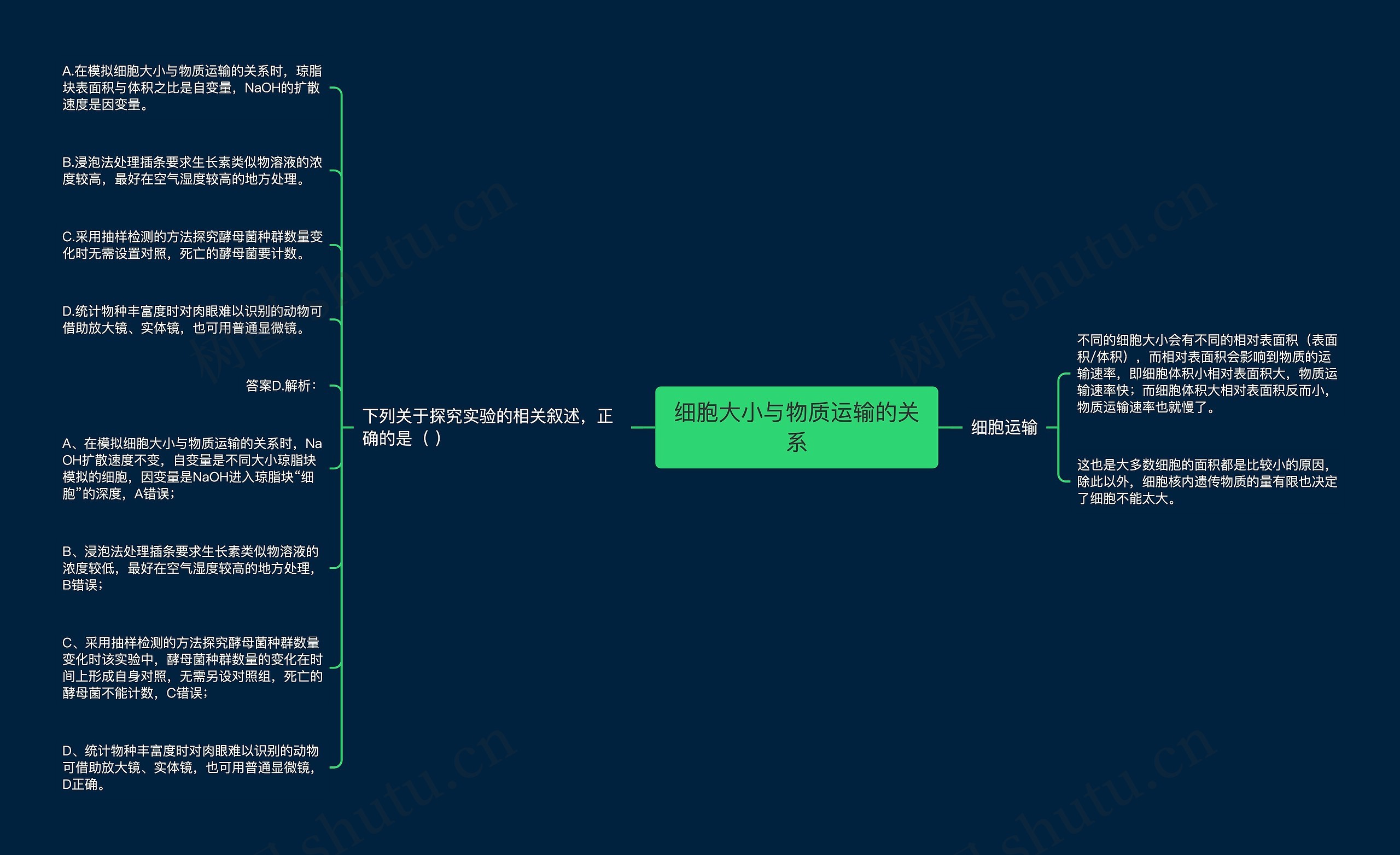 细胞大小与物质运输的关系思维导图