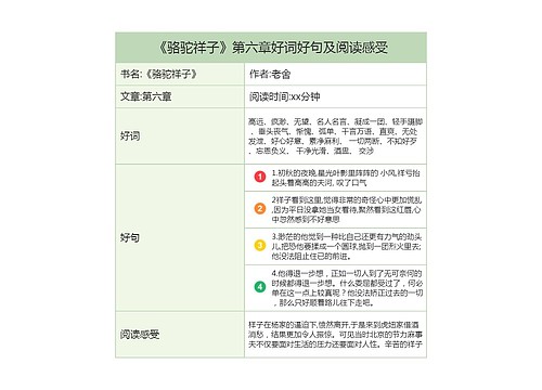 《骆驼祥子》第六章好词好句及阅读感受