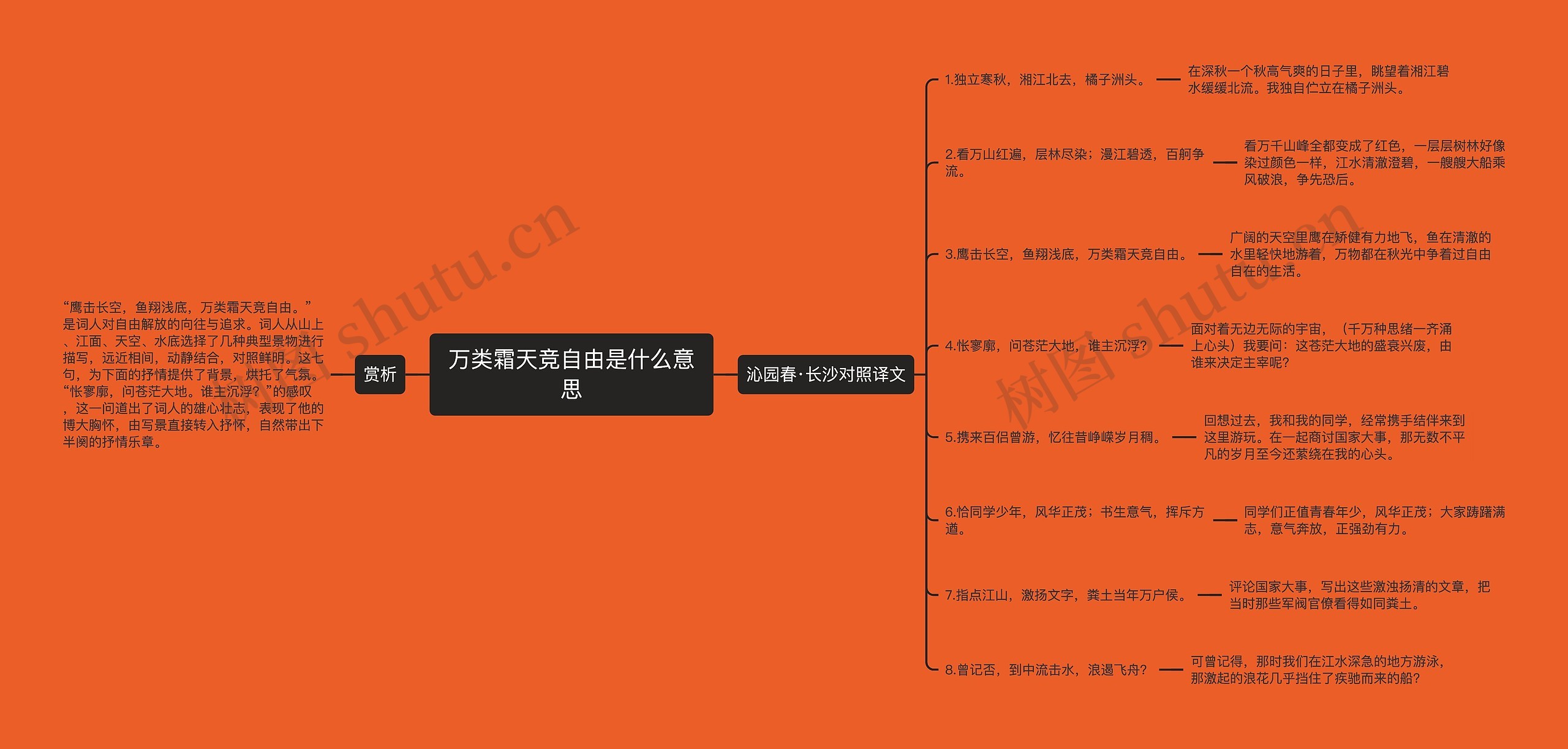 万类霜天竞自由是什么意思