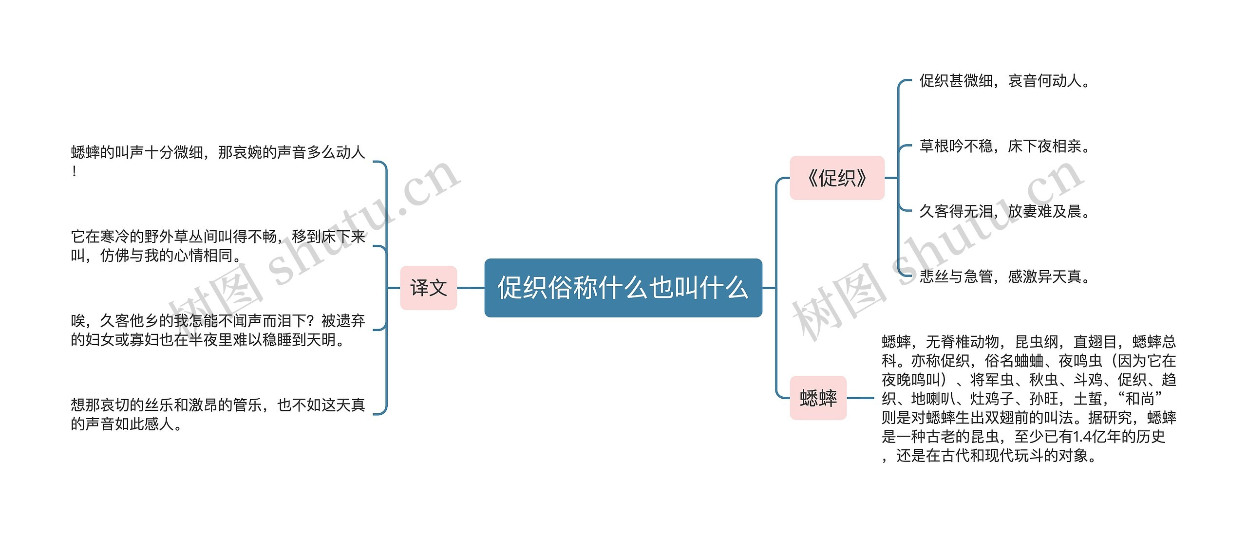 促织俗称什么也叫什么思维导图