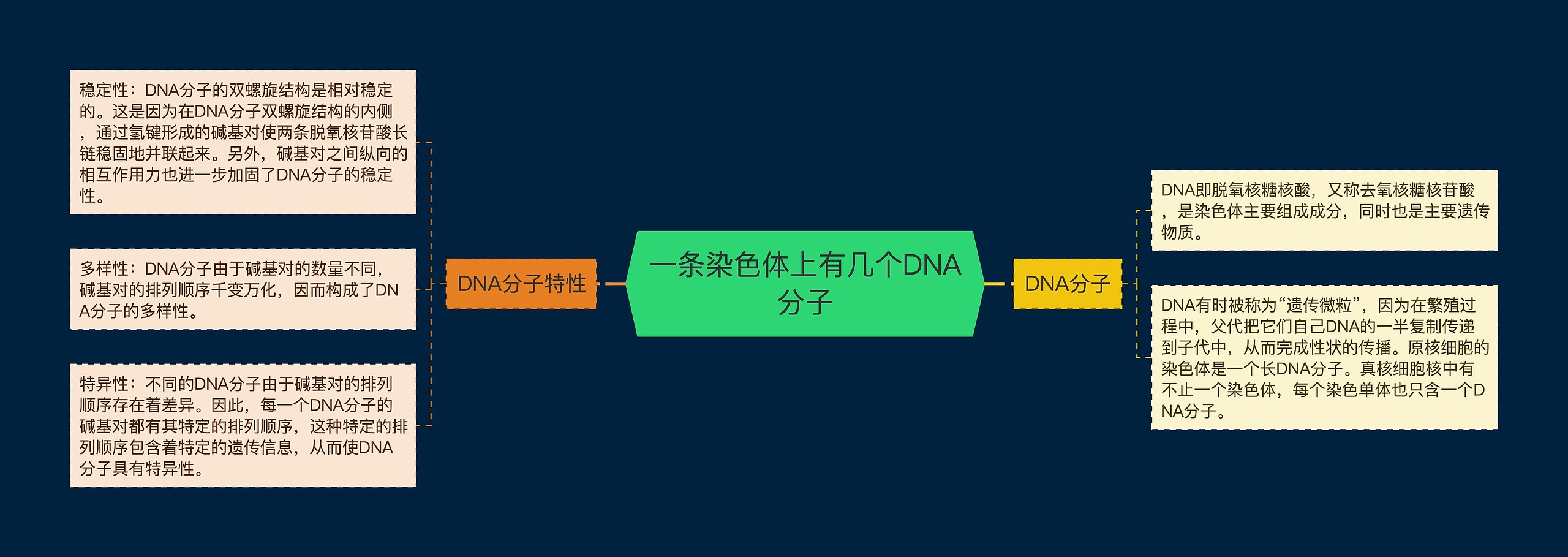 一条染色体上有几个DNA分子