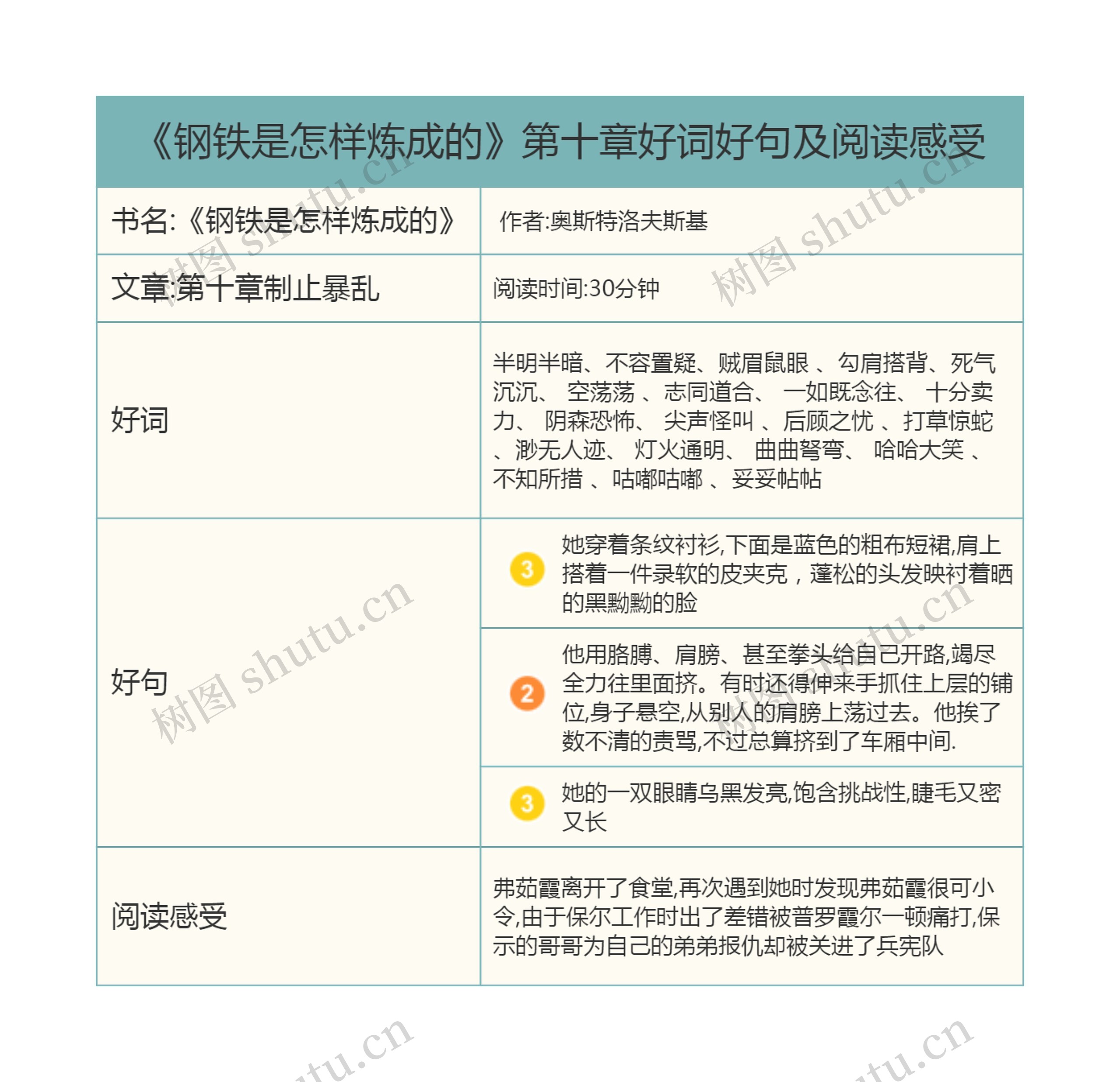 《钢铁是怎样炼成的》第十章好词好句及阅读感受