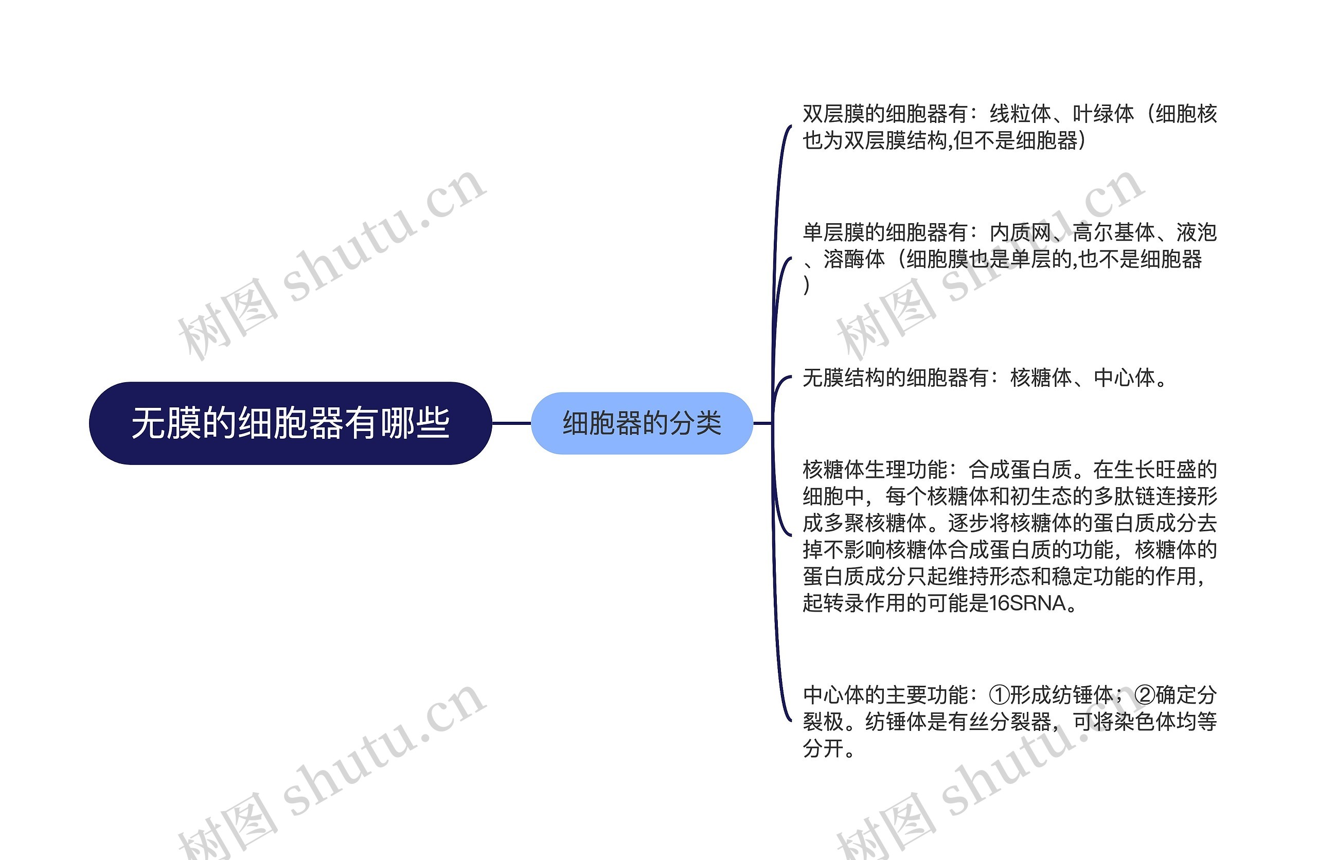 无膜的细胞器有哪些