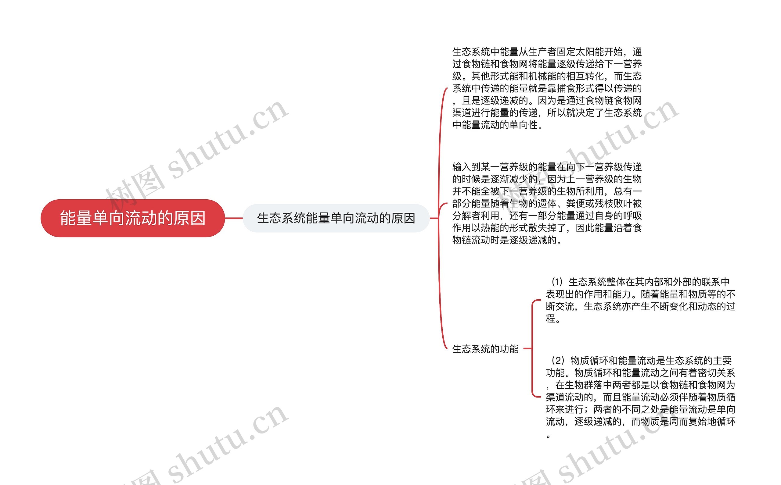 能量单向流动的原因思维导图