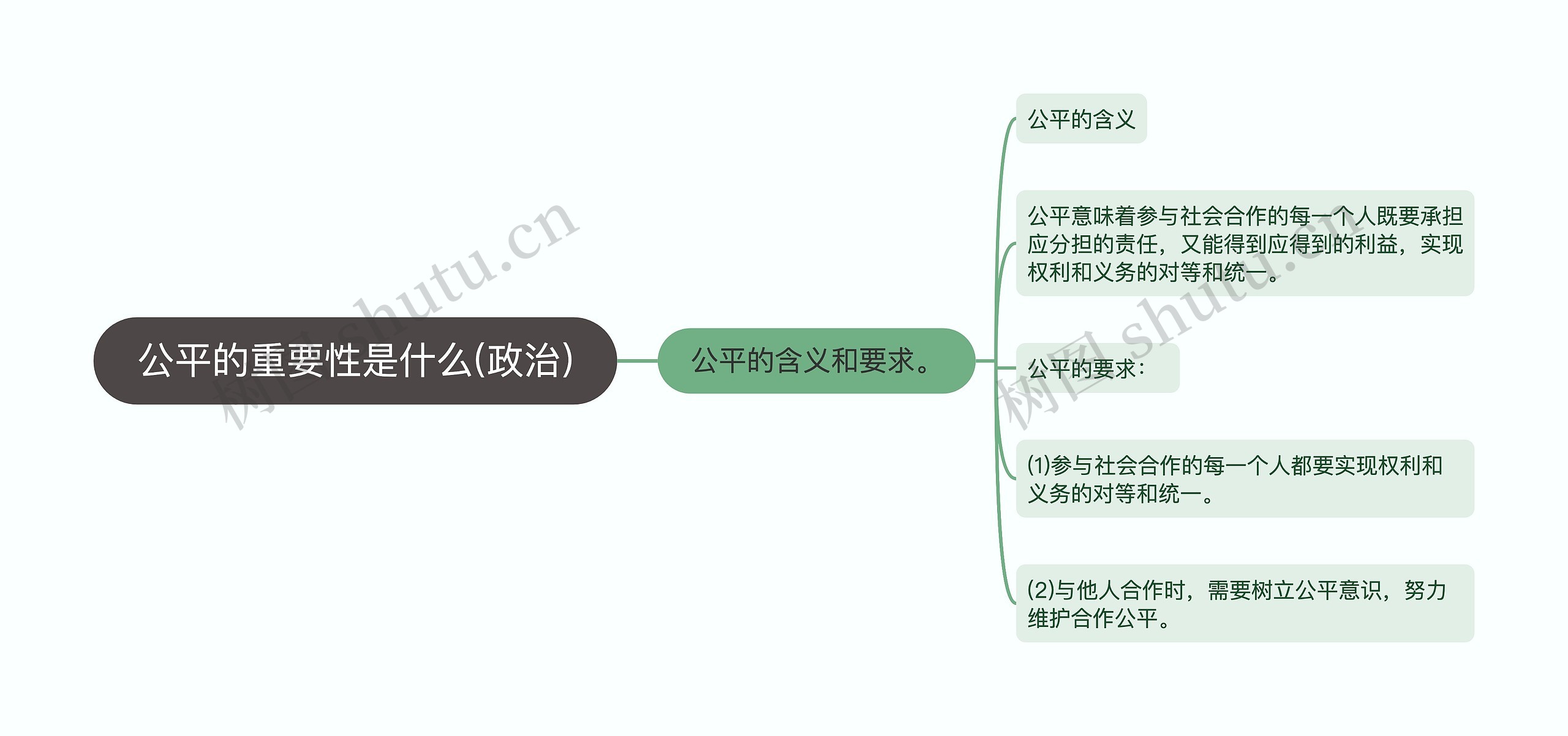 公平的重要性是什么(政治)思维导图