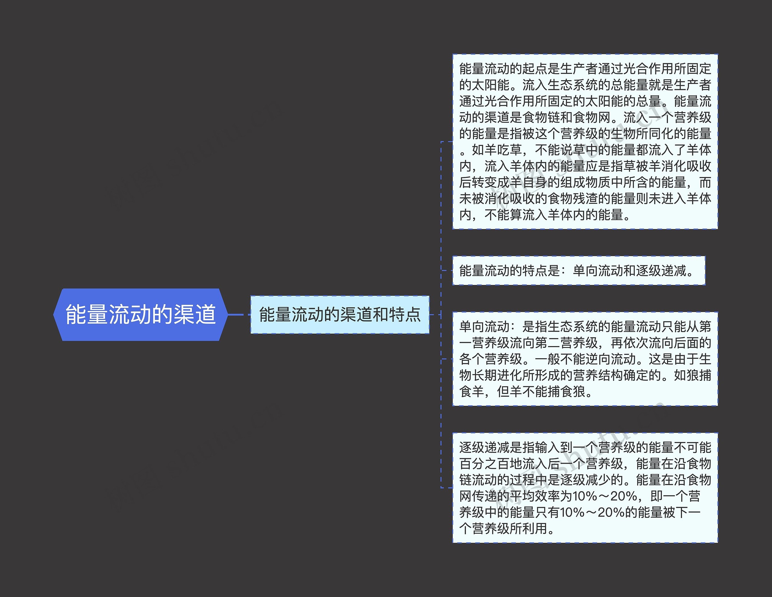 能量流动的渠道思维导图