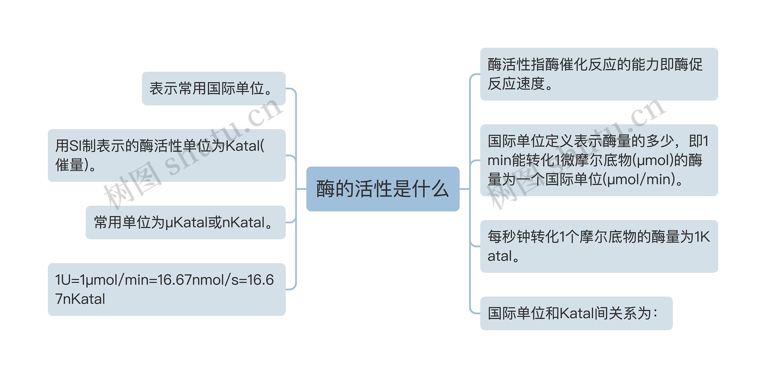 酶的活性是什么