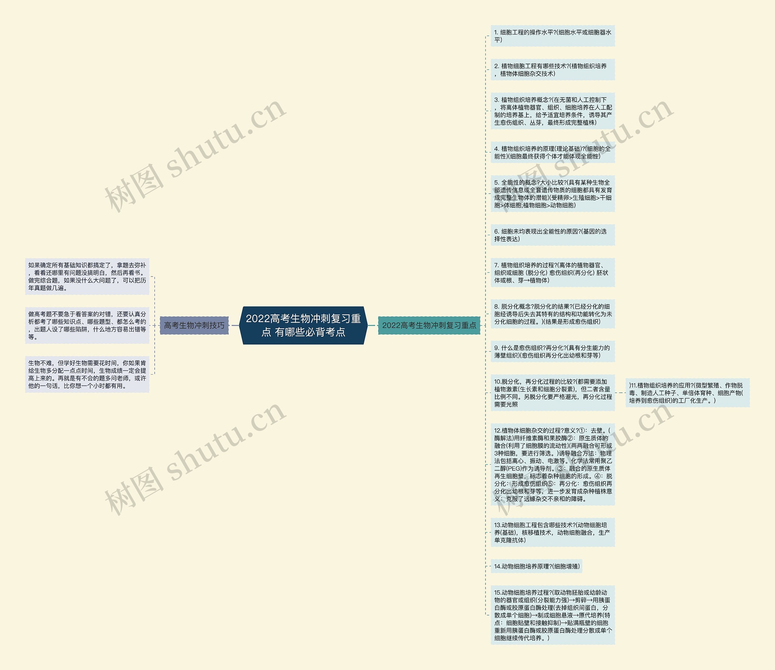 2022高考生物冲刺复习重点 有哪些必背考点思维导图高清图 2022高考生物冲刺复习重点 有哪些必背考点思维导图