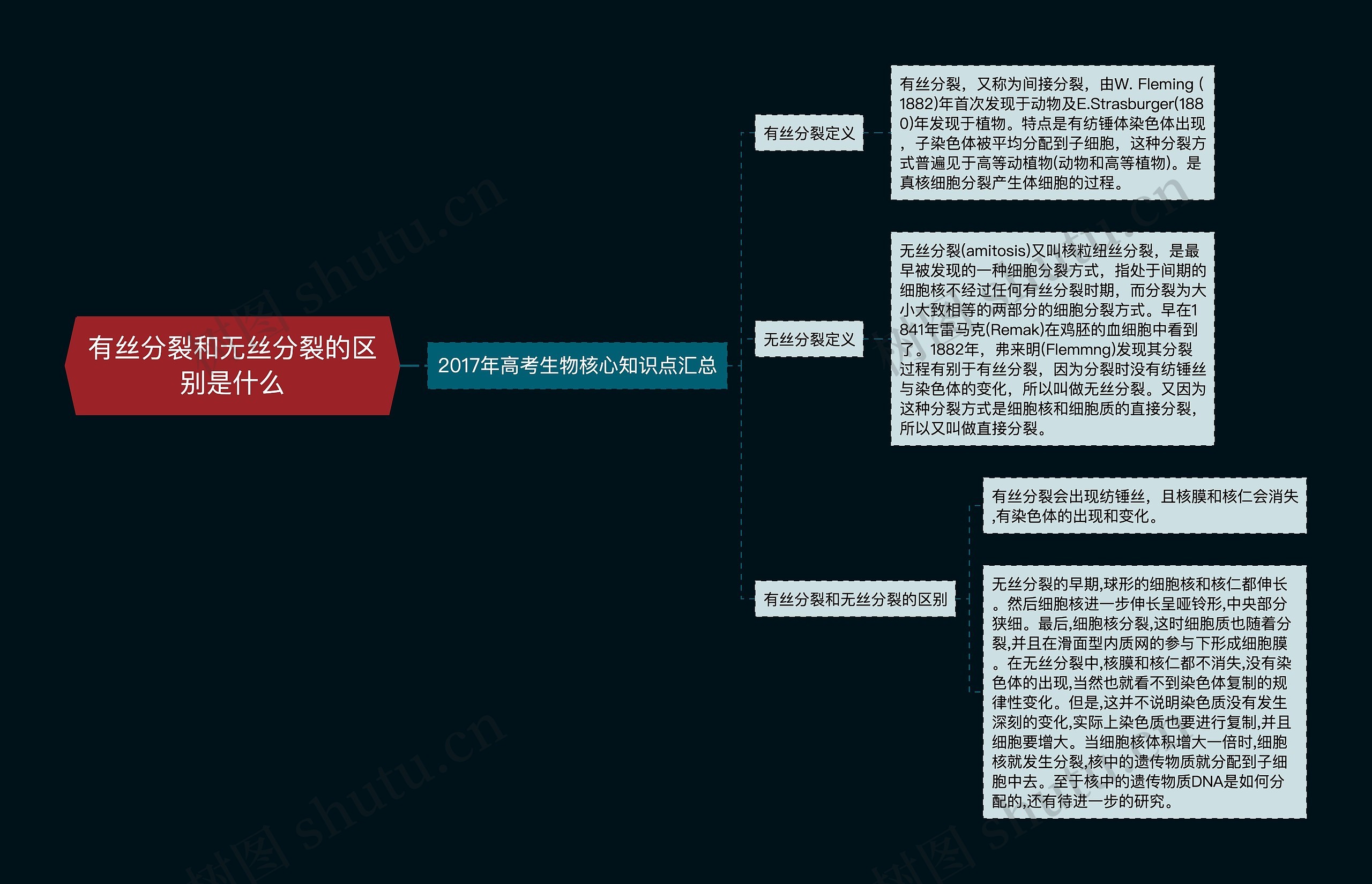 有丝分裂和无丝分裂的区别是什么思维导图