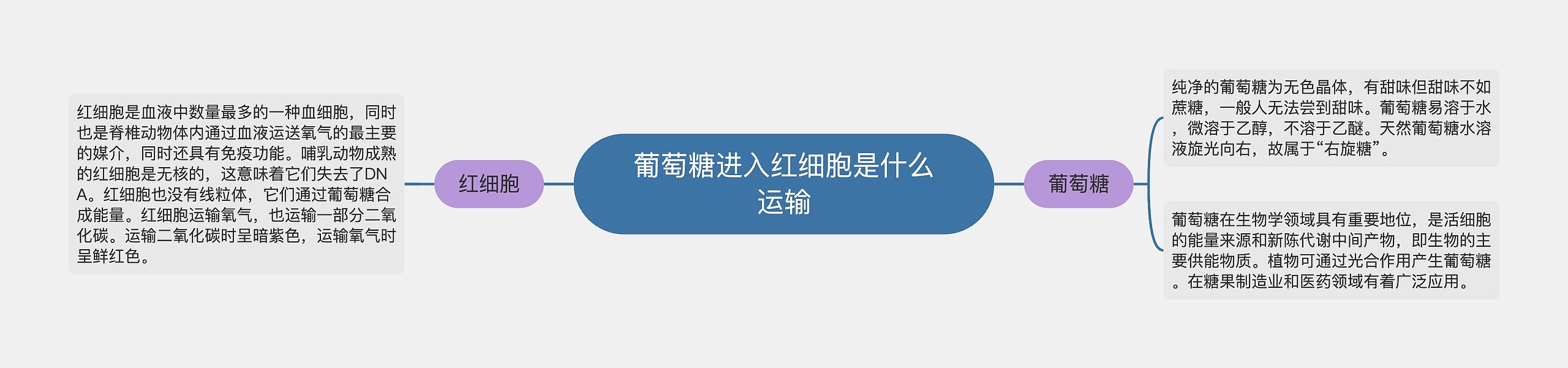 葡萄糖进入红细胞是什么运输